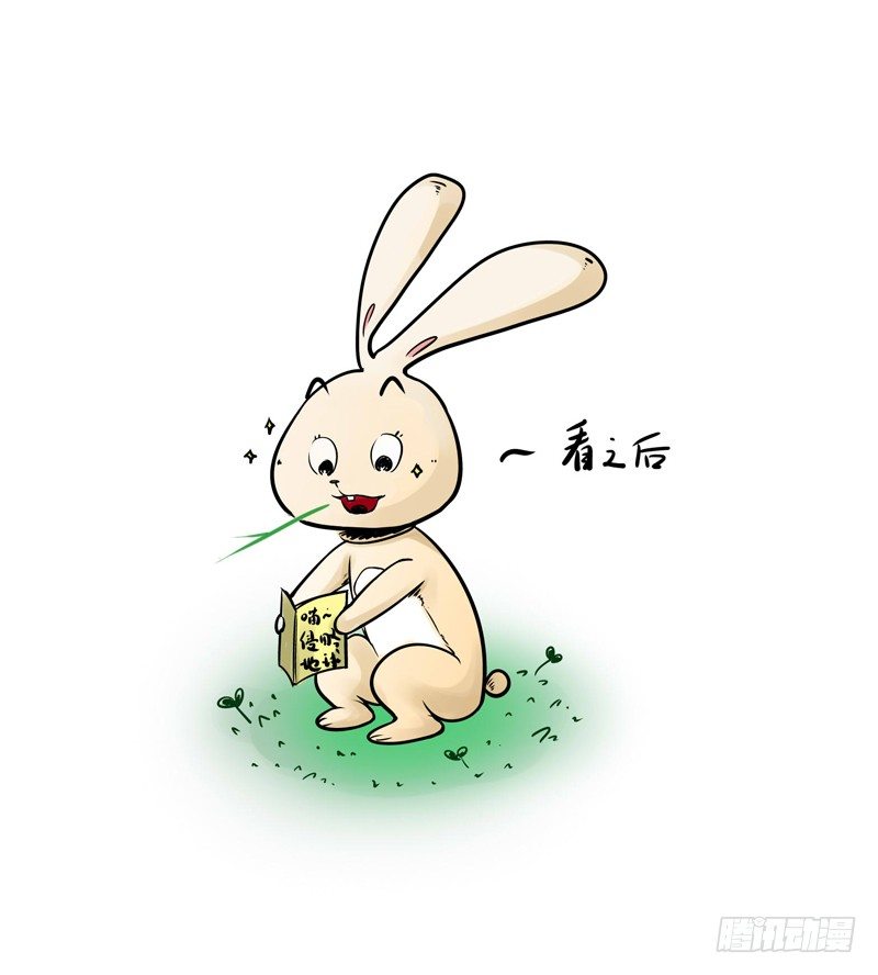 第四喵6
