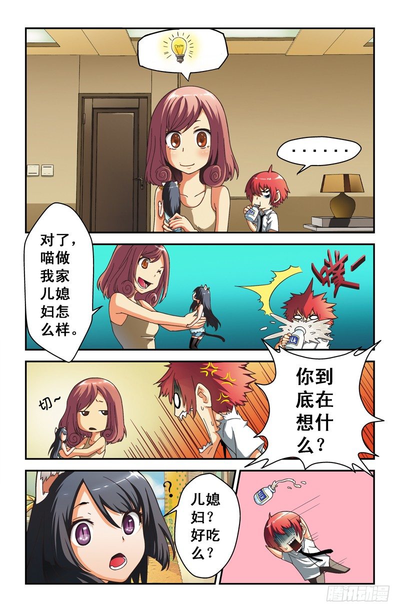 第八喵4