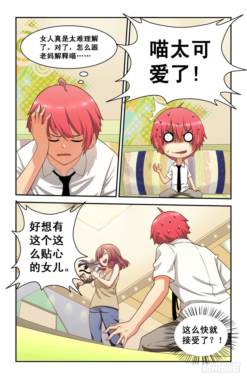 第八喵2