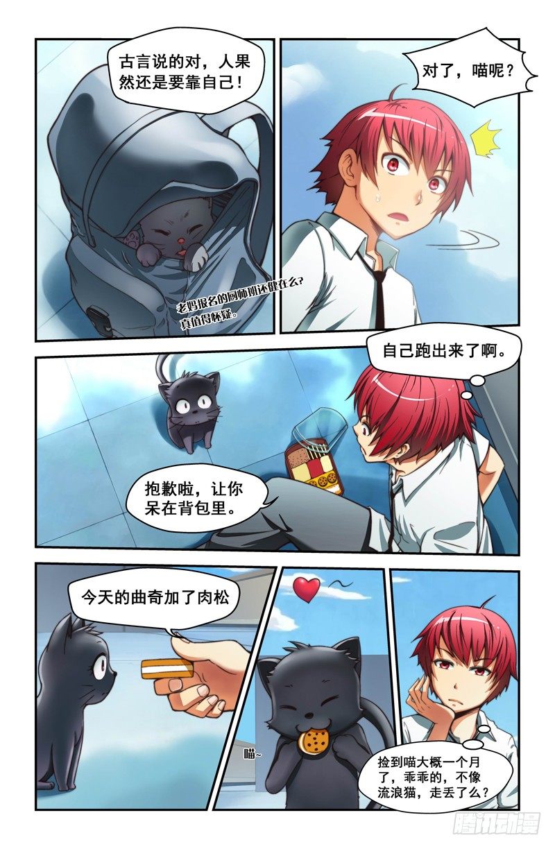 第一喵 格斗猫猫14