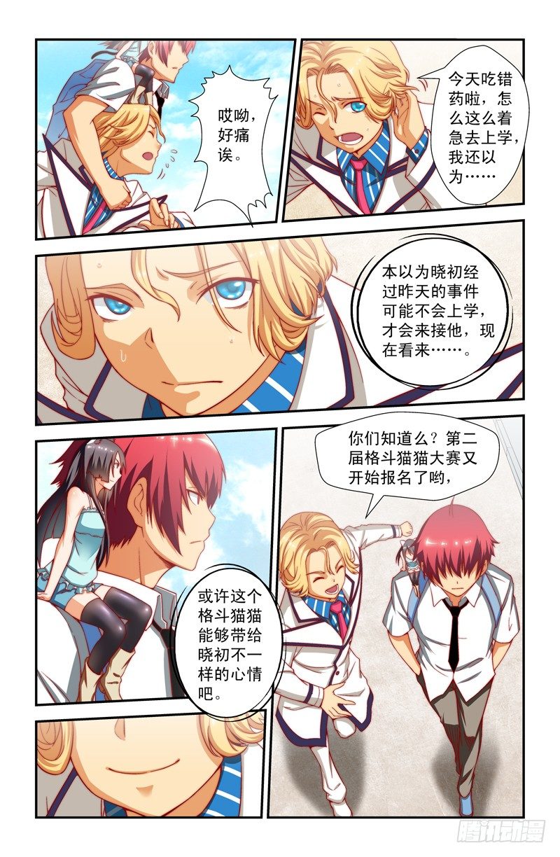 第八喵7