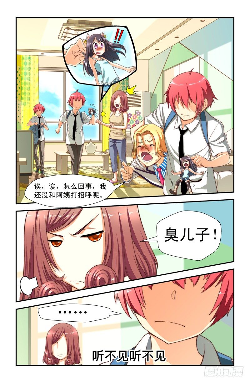 第八喵6