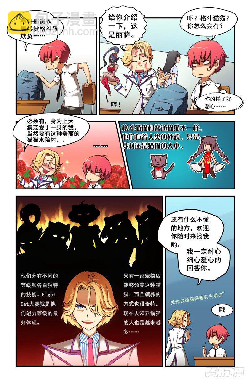 第一喵 格斗猫猫10