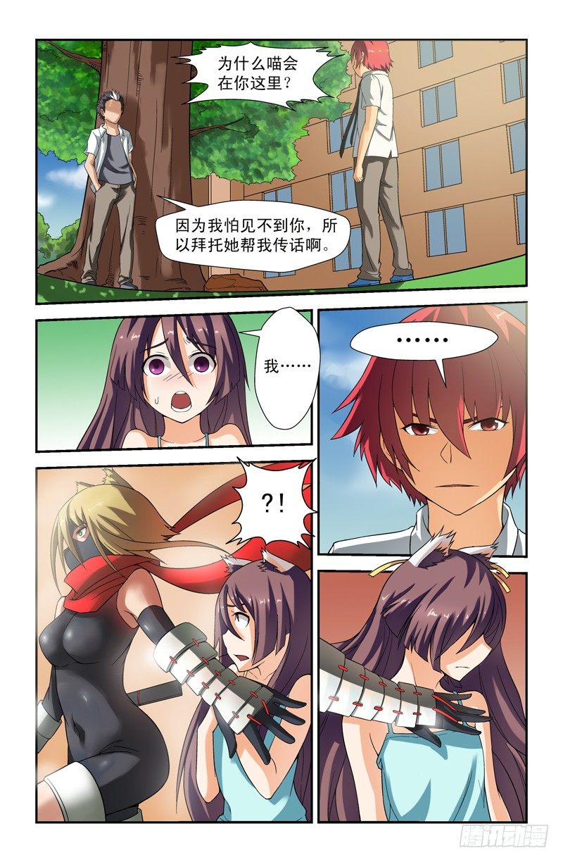 第十四喵5