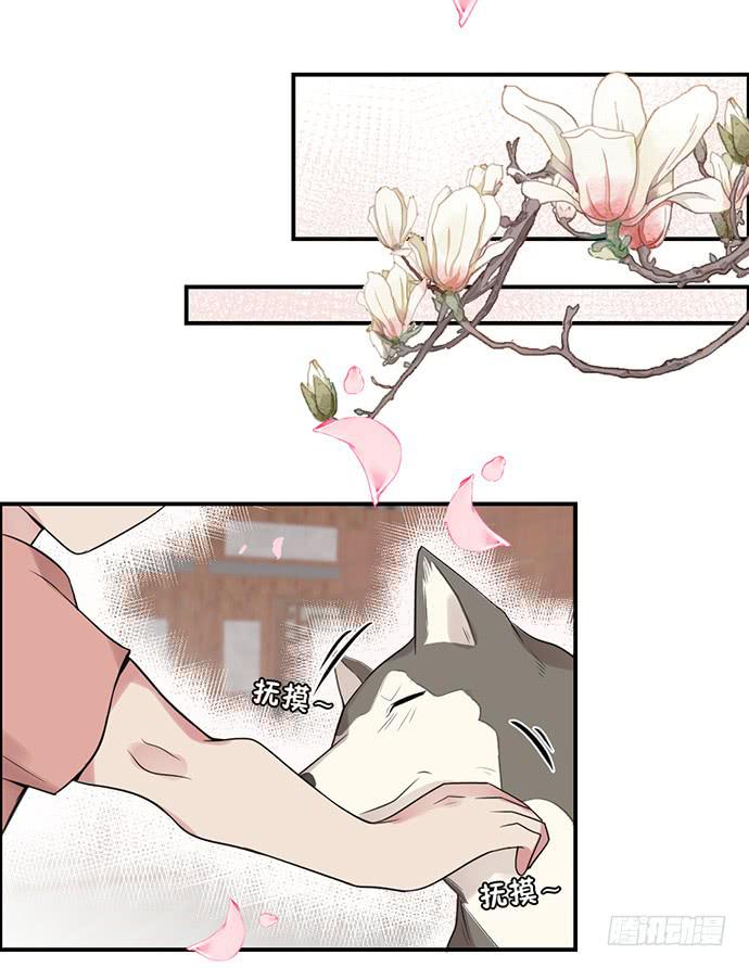 金光闪闪巧克力36