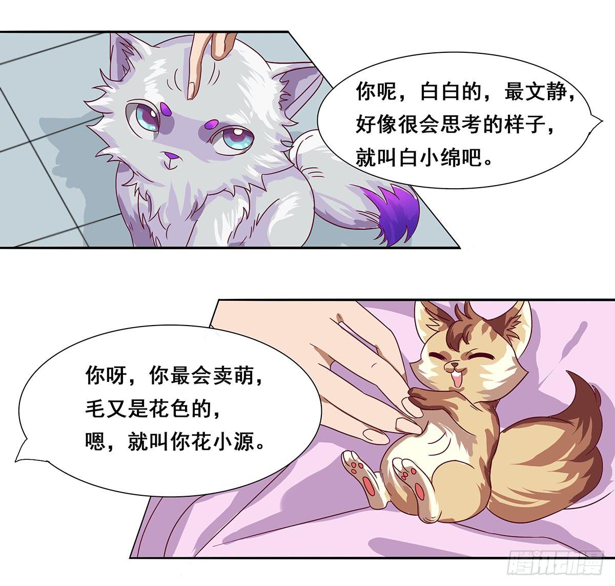 四只狐38