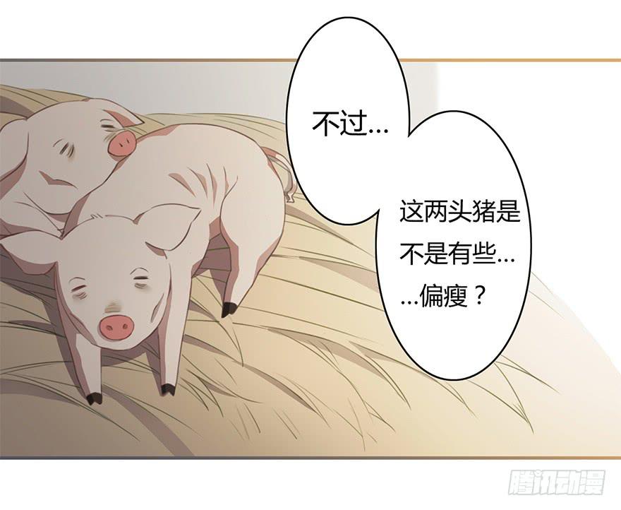 报答救命之恩的正确方式9
