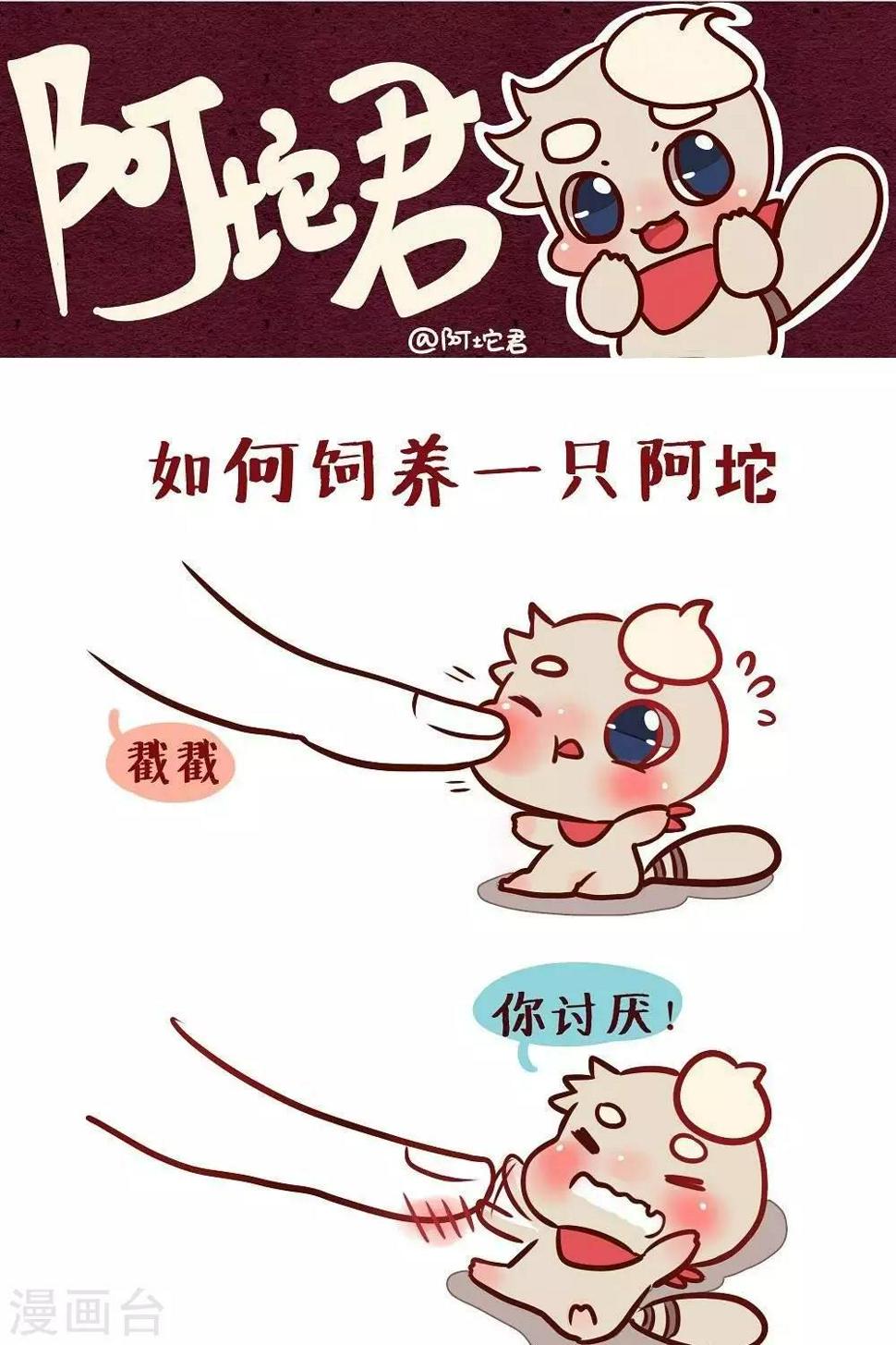 第二话  摸摸阿坨0