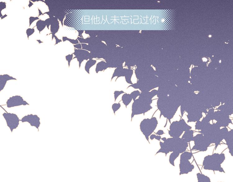 完结篇 再也不分黎63