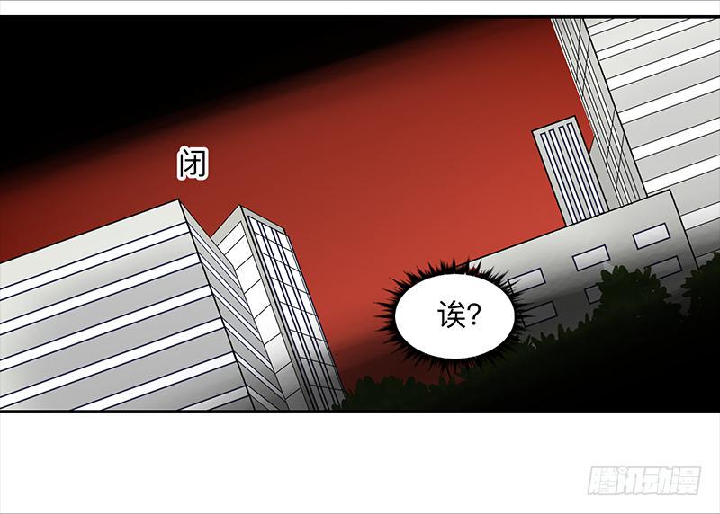 第三十一条：它们18