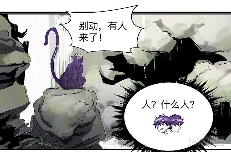 第三十一条：它们13