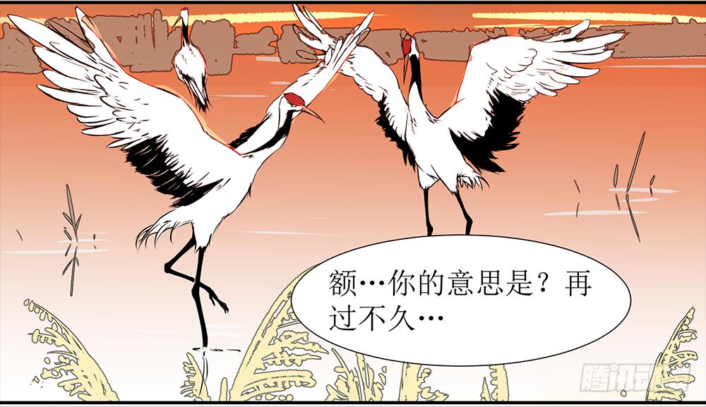 第五条：梦17