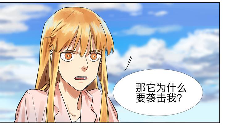 第二十三条：宿命6