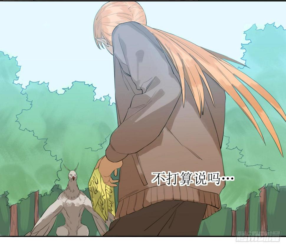第十五条：交战19