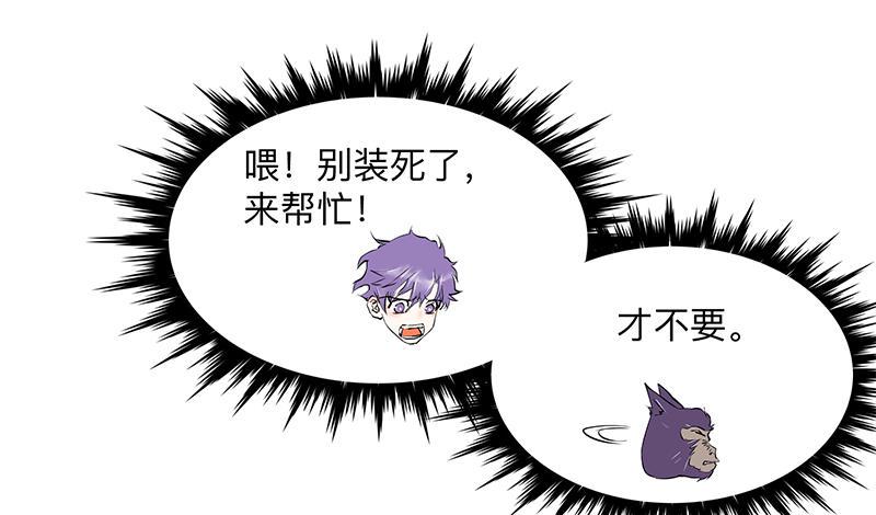 第三十一条：它们9