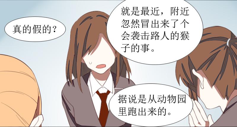 第二条：猢狲20