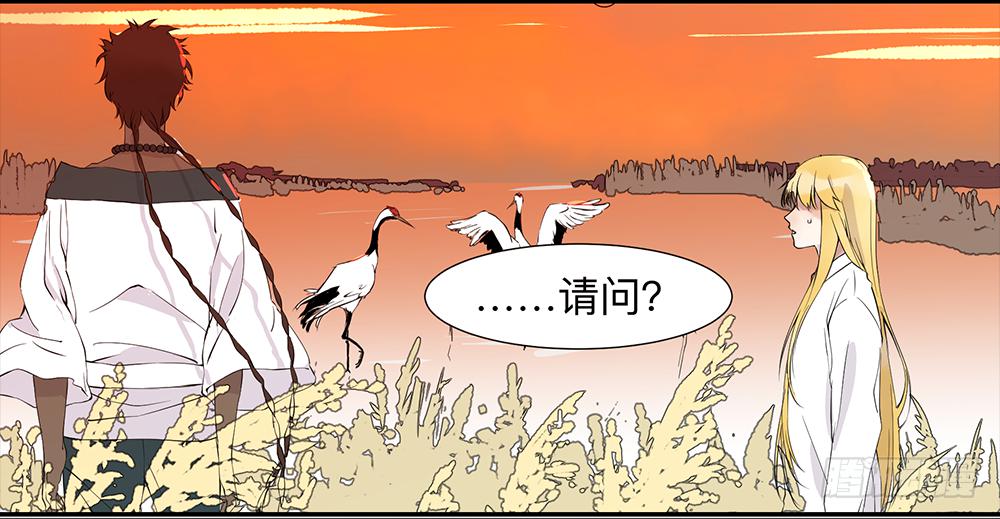第五条：梦11