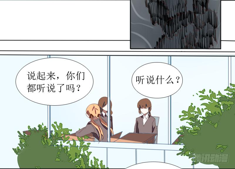 第二条：猢狲19