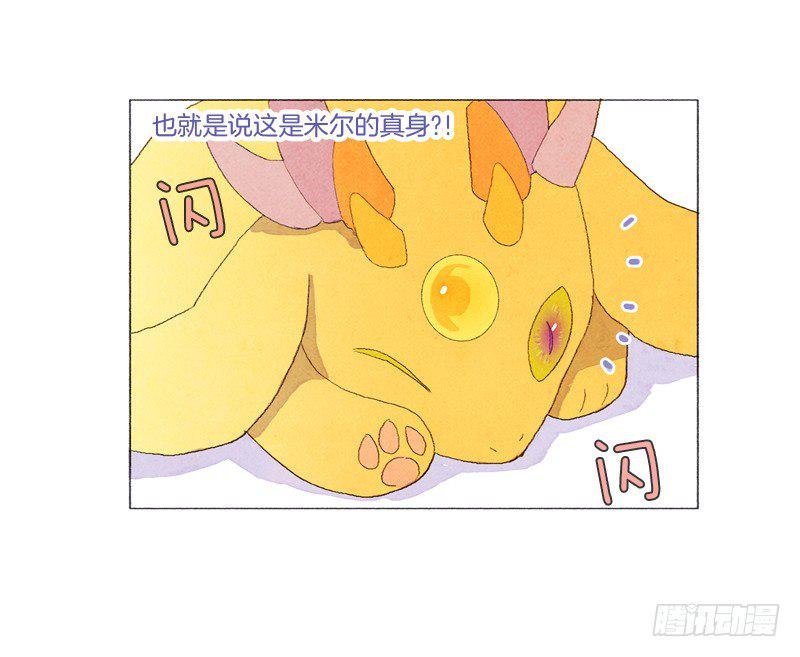 传说中的龙之子17