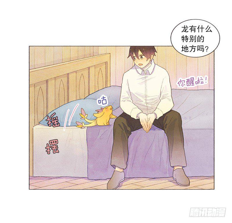 传说中的龙之子19
