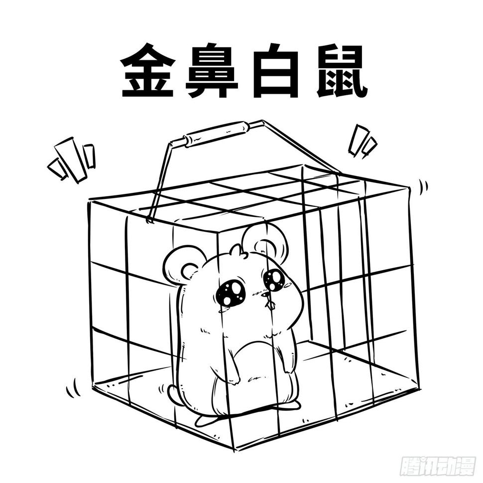 第二十八集 你妹4