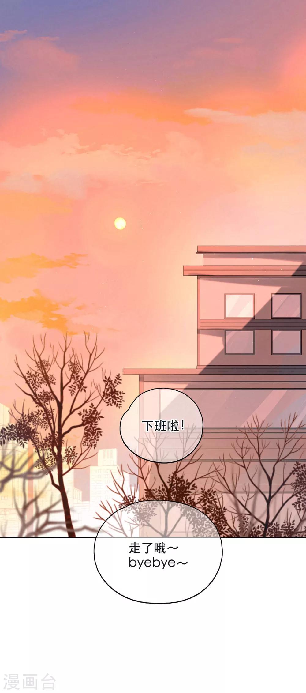 第8话 寻找浣熊0