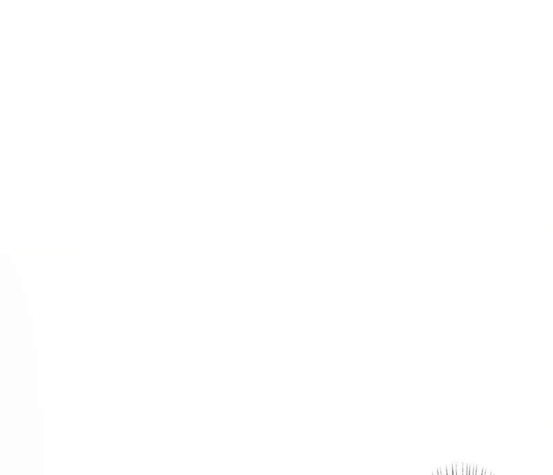 第四话 凶兽与观音25