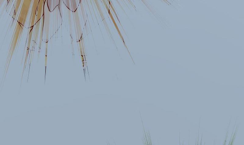 第八话 往日影像6