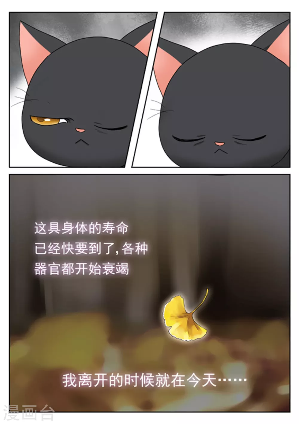 第28话12