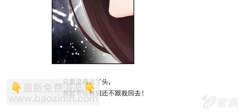 第九回 庙会昭兆险暗生26