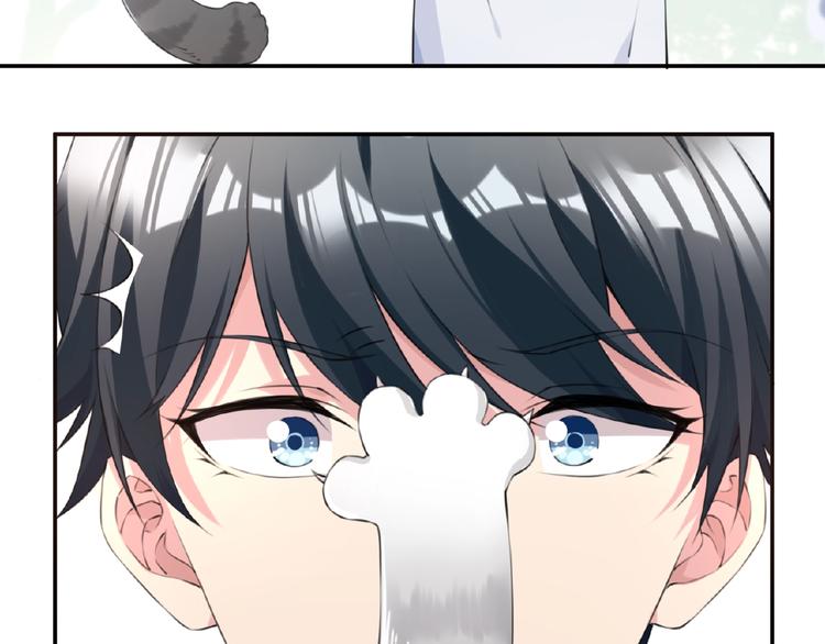 第7话 还想打我？17