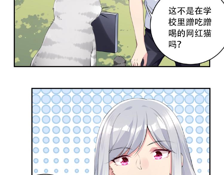 第7话 还想打我？14