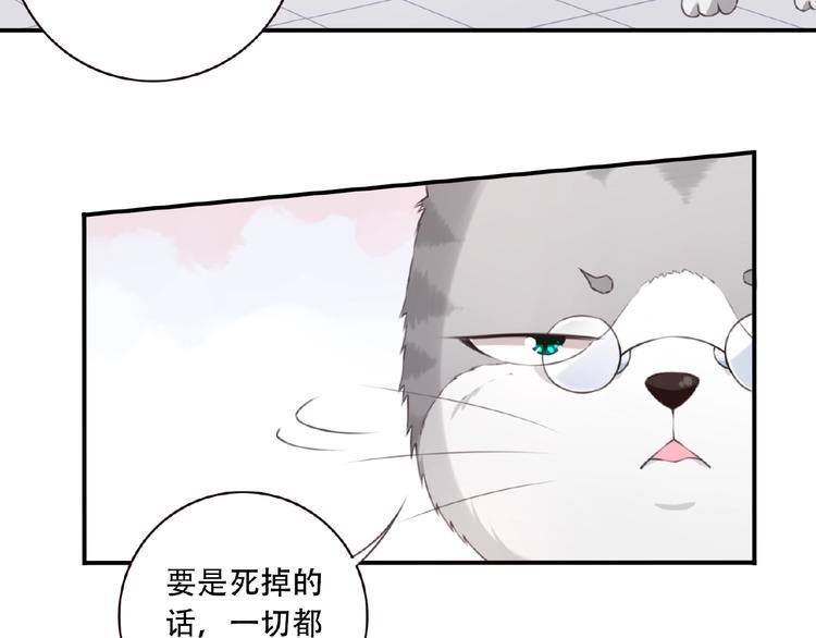 第17话 我知道答案了！9