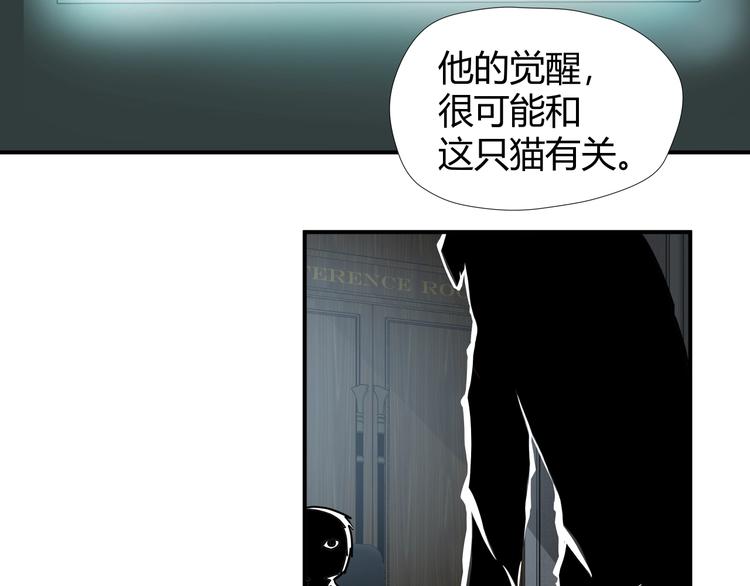 第7话 不准伤害我的小猫！19