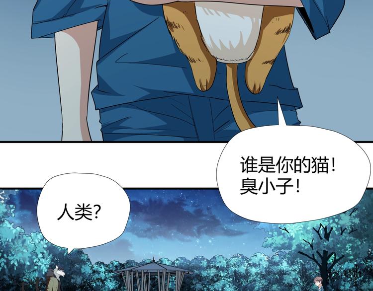 第7话 不准伤害我的小猫！88