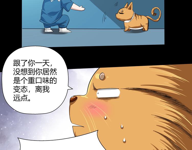第9话 王岚登场9