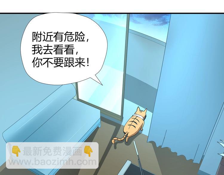 第7话 不准伤害我的小猫！32