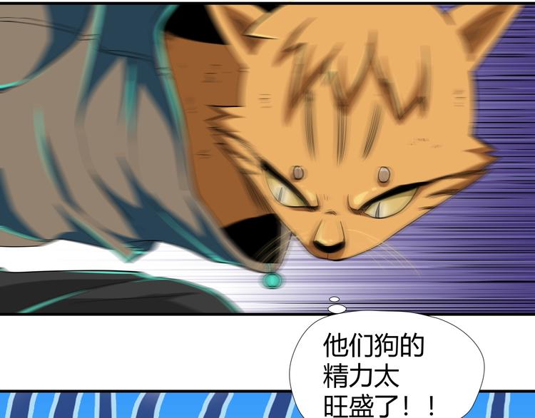 第7话 不准伤害我的小猫！78