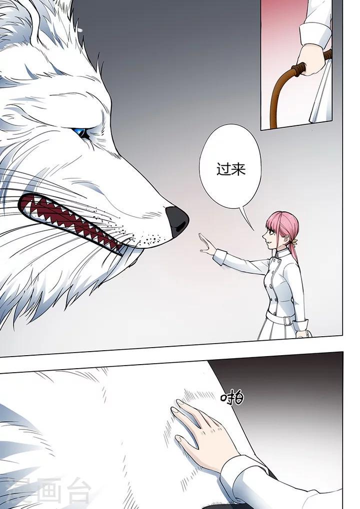 第1话3 天狮组织2