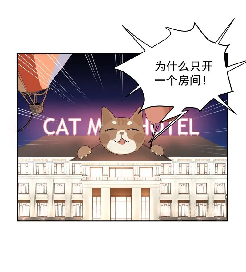 20 选择遗忘10