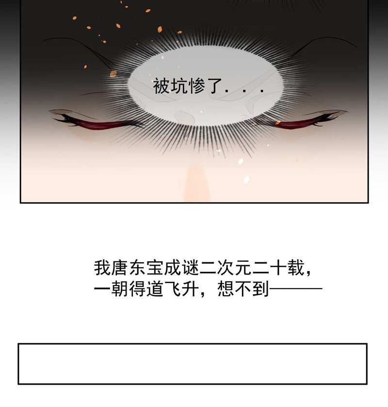 1 “公主”变恶龙？6
