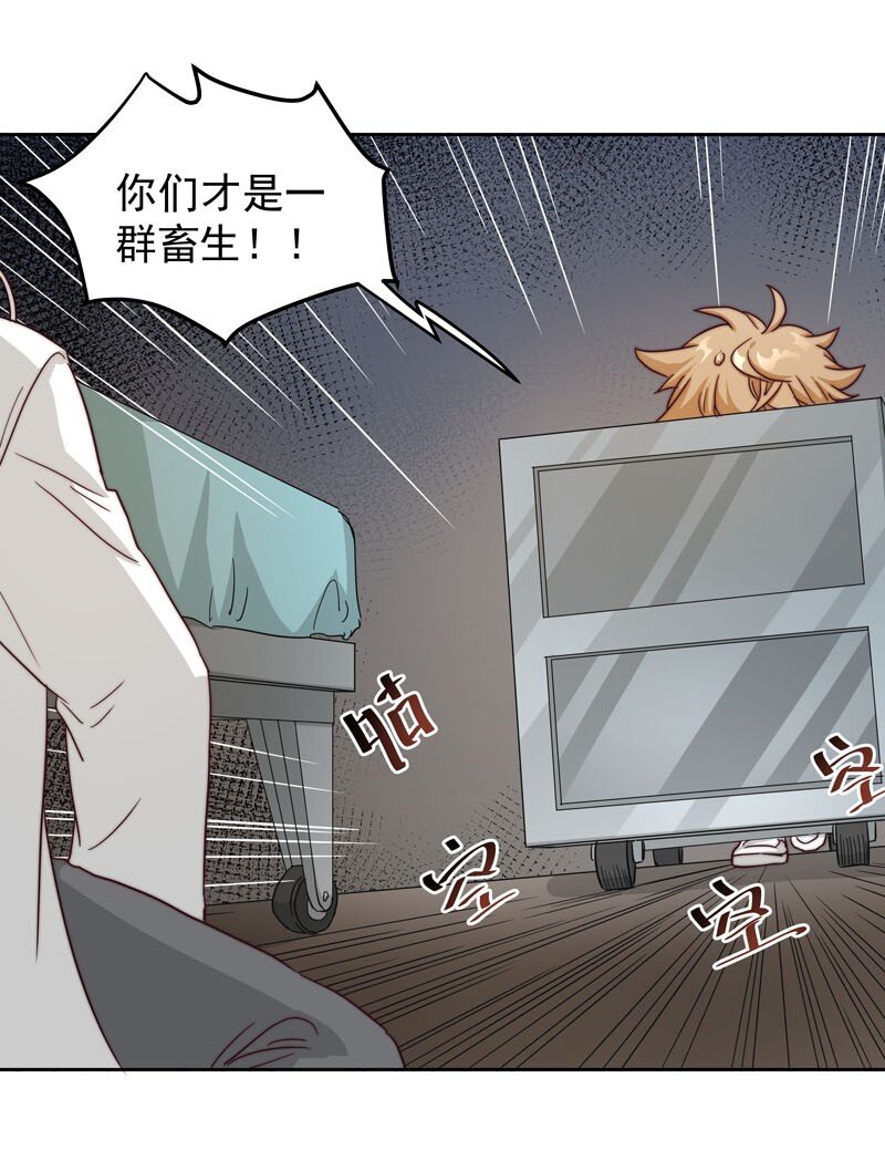 23 保护你26