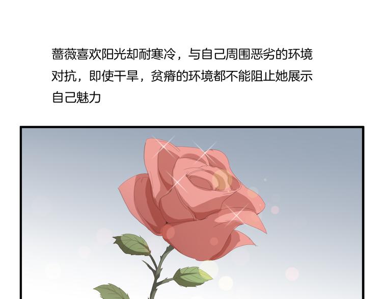 第11话 含义39