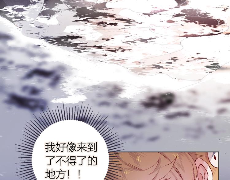 花与隐匿之乌-次元旋风系列11