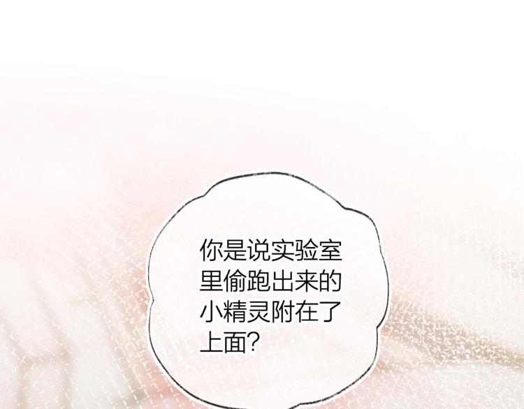 花与隐匿之乌-次元旋风系列0