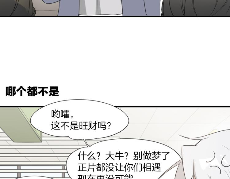 披着狼皮的羊-次元旋风系列9