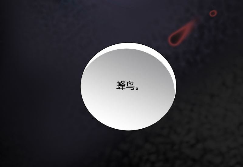 第29话 蜂鸟103