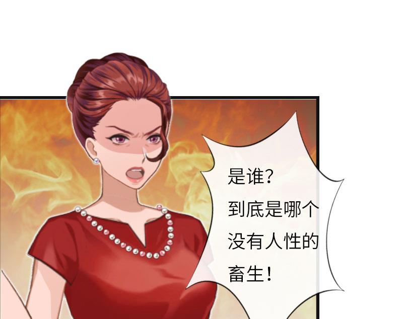 第6话 5%的股份12