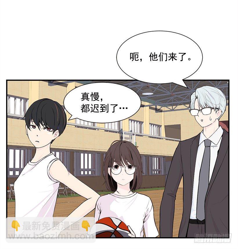 完美组合26