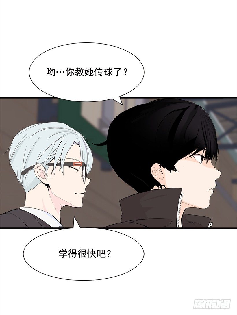 完美组合44
